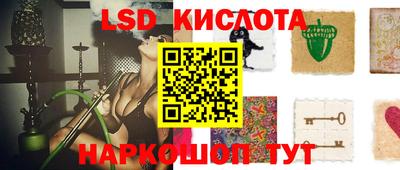 a pvp Гусев